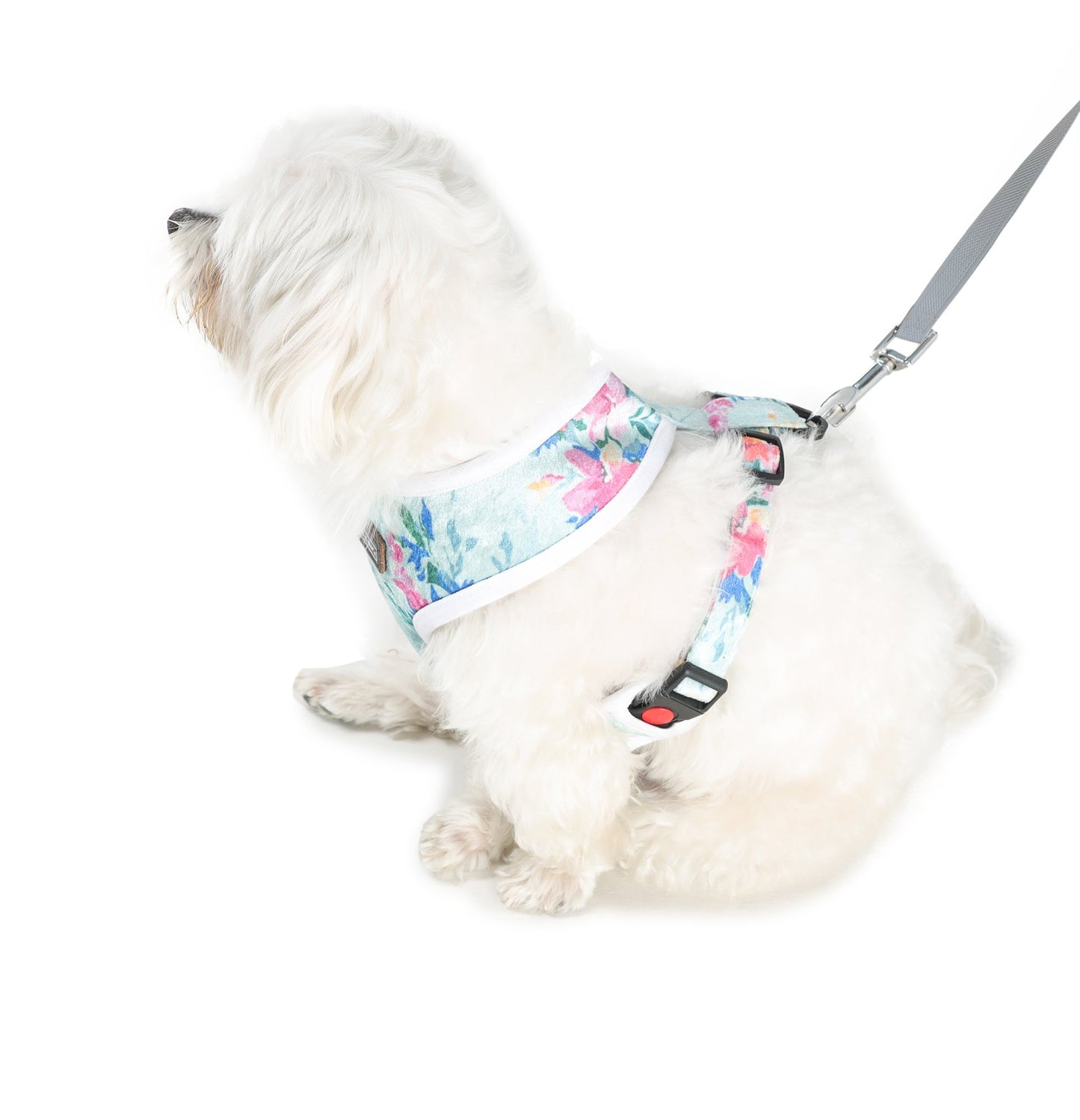 dog wearing floral print harness and leash by Barks & Wags
