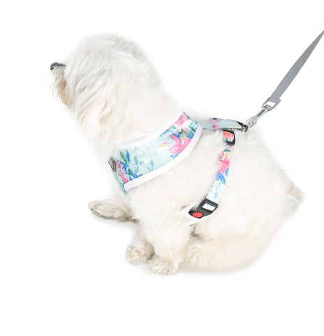 Harness And Leash For Dogs - Floral Print Velvet