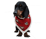 cute dog wearing red Christmas special bandana