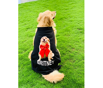 stylish capes for dogs by Barks & Wags