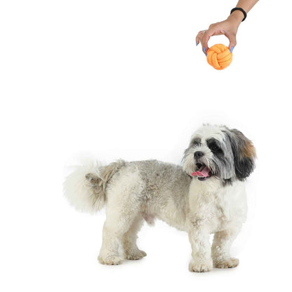 Dog Toy - Pet Teether Ball