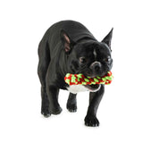 Dog Toy - Chew Bone Teether