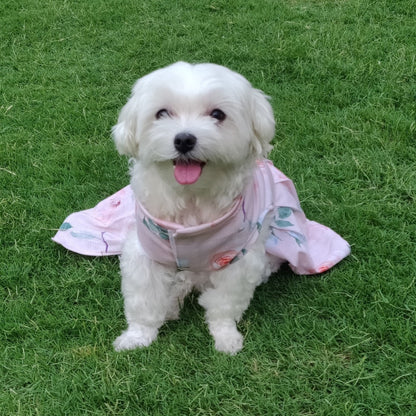 Dresses For Dogs Pink