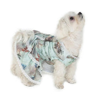 cute dog wearing floral foxy dress by Barks & Wags