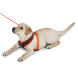 harness and leash for dogs by Barks & Wags