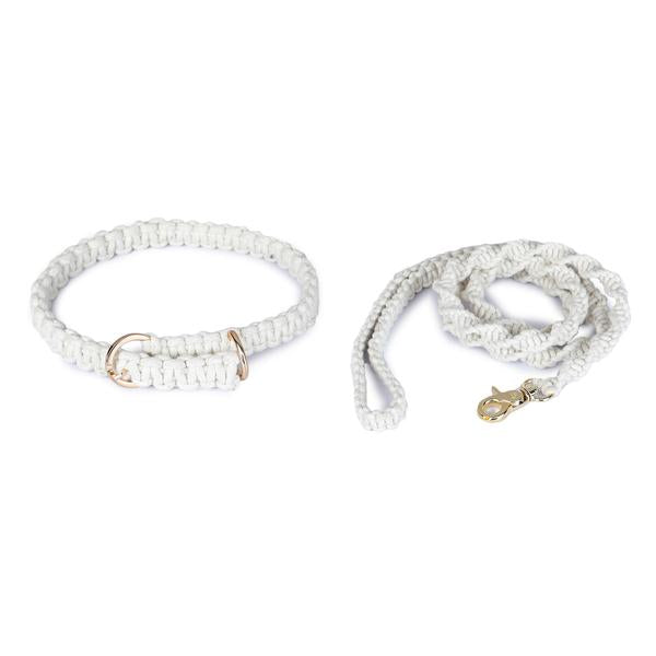 macramé leash and collar for dogs by Barks & Wags
