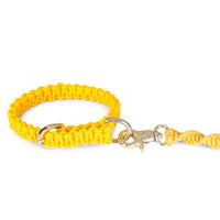 macramé twisted leash and collar for dogs designed by Barks & Wags