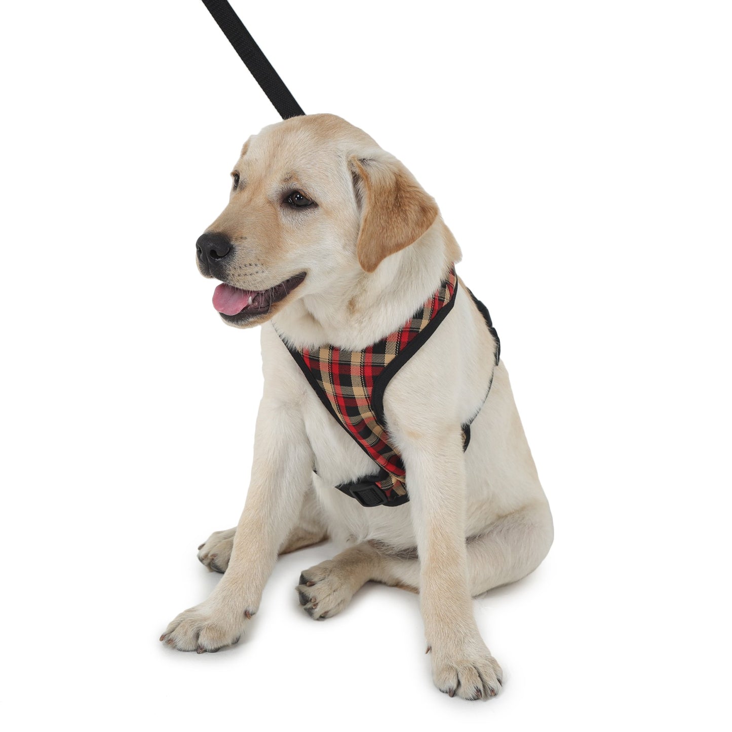shop online for dog harness by Barks & Wags