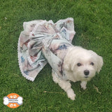 stylish dog wearing top-quality dress by Barks & Wags