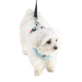 stylish Barks & Wags harness for dogs