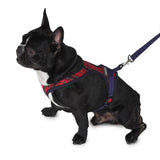 stylish dog harness by Barks & Wags