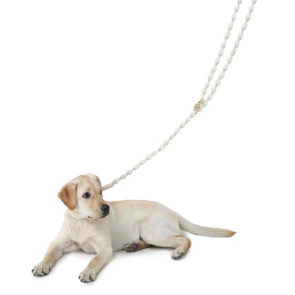 stylish dog wearing leash designed by Barks & Wags
