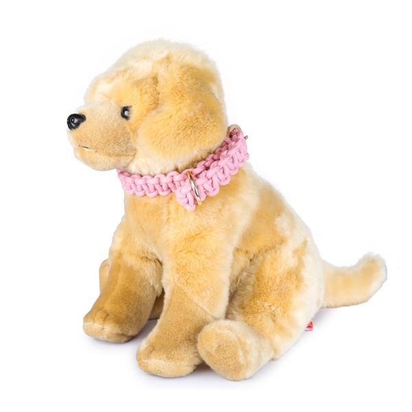 stylish dog wearing macramé square knot leash and collar