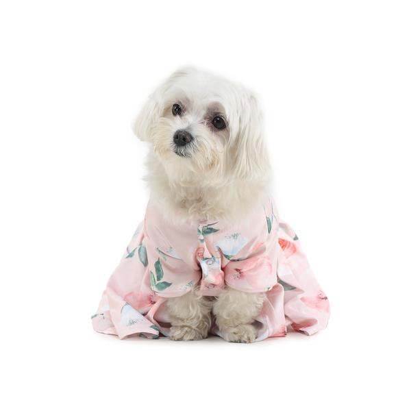 stylish dog wearing pink dress by Barks & Wags