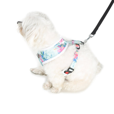 Harness For Dogs - Blue Floral Print Velvet