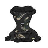 Harness For Dogs
