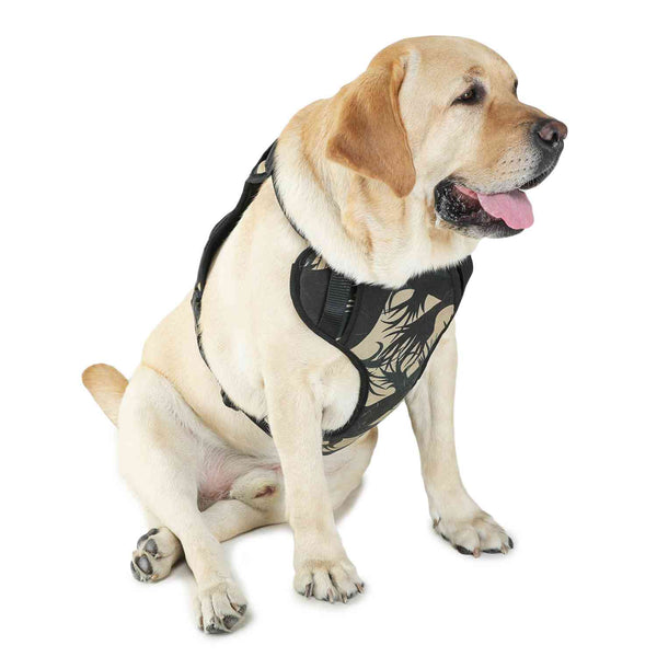 Harness For Dogs