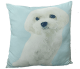 Velvet Personalised Cushion